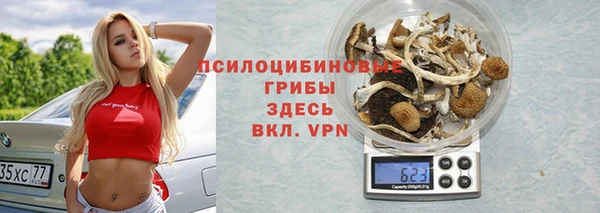 трава Бронницы