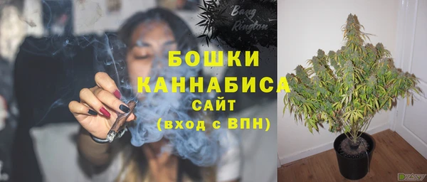 дурь Верхний Тагил