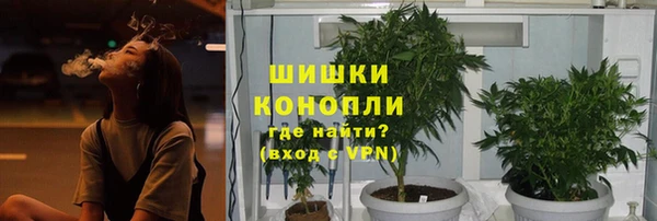 круглые Анива