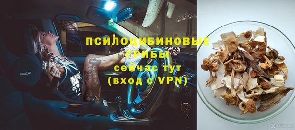 мяу мяу мука Верея