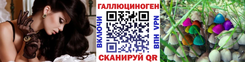 Псилоцибиновые грибы Cubensis Гудермес