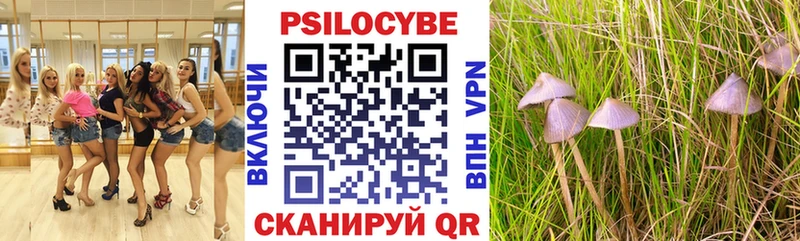 omg зеркало  цены наркотик  Гудермес  Псилоцибиновые грибы Magic Shrooms 