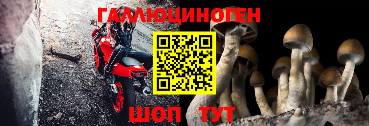 Галлюциногенные грибы мицелий Гудермес