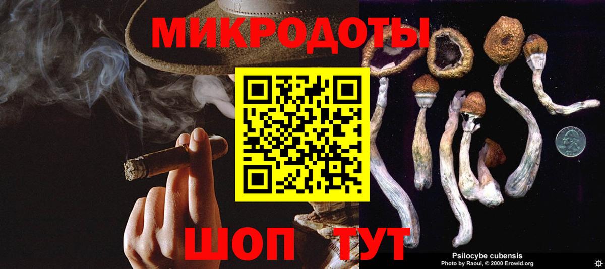 наркошоп  Псилоцибиновые грибы GOLDEN TEACHER  Вход с VPN  Гудермес 