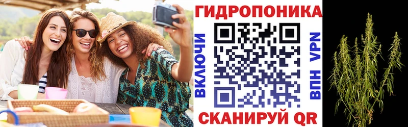Бошки марихуана индика  Гудермес 