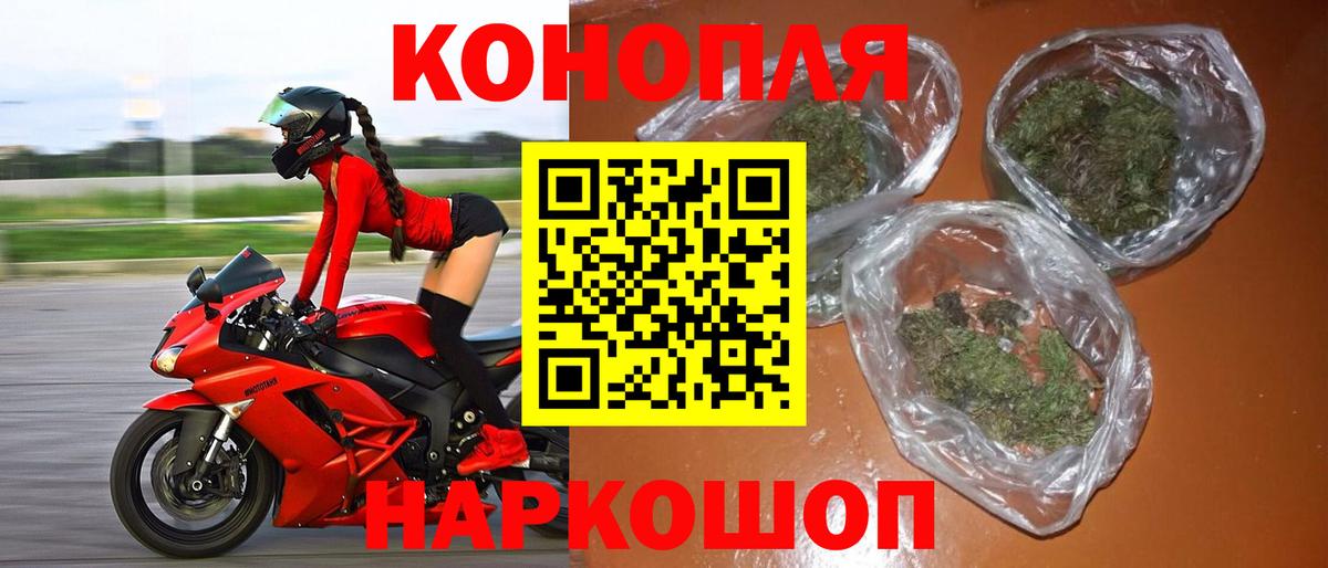 Конопля Amnesia  Шишки марихуана White Widow  Гудермес  Каннабис семена  Марихуана марихуана 